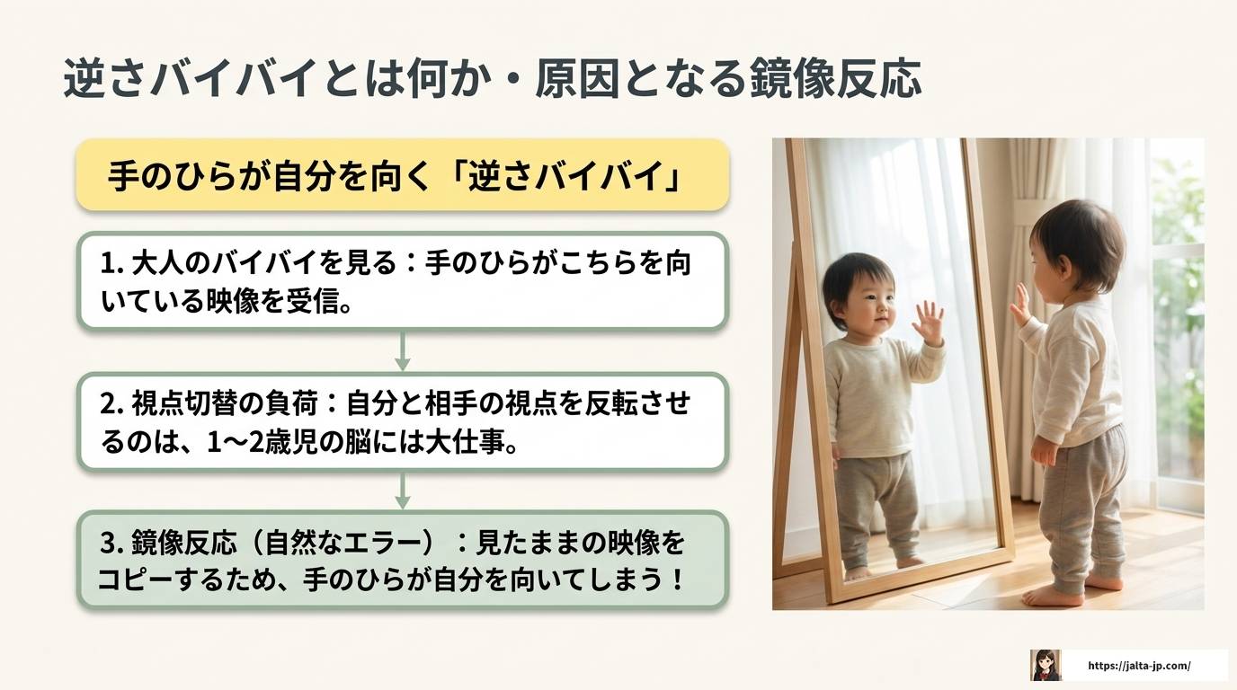 逆さバイバイで自閉症か不安な親へ知恵袋より確かな答え