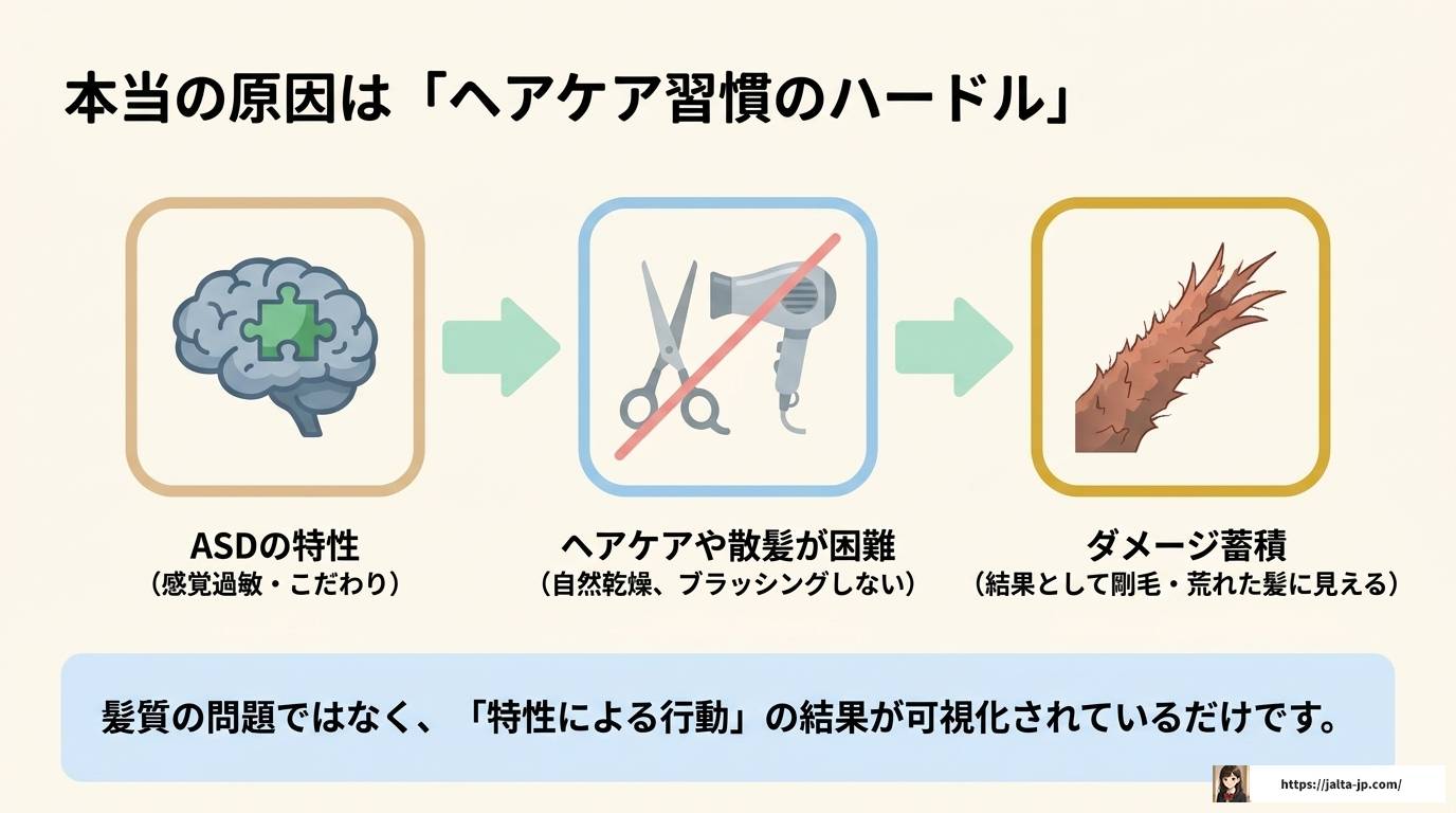 ASDの髪質に科学的根拠はある？特性と正しいケア方法