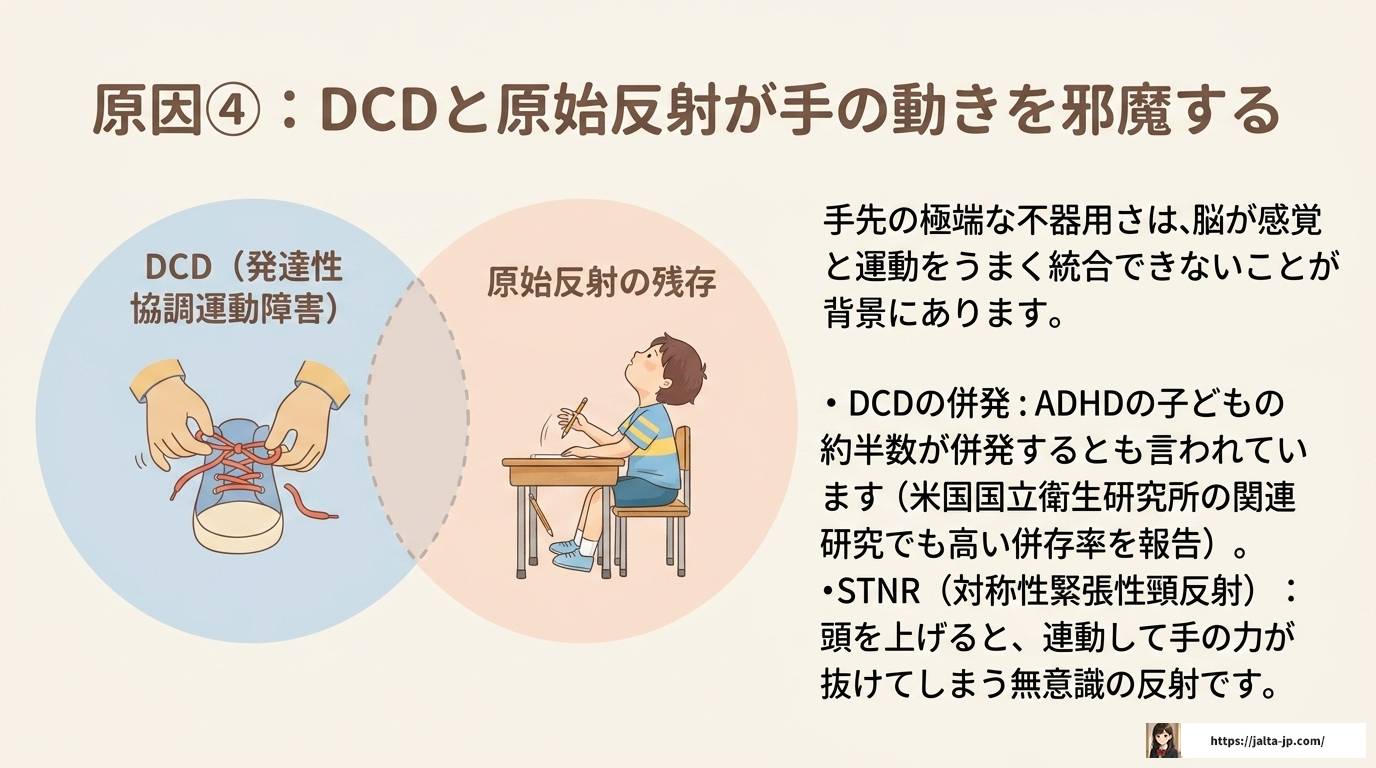 ADHDで物を落とす原因と今日からできる対策まとめ