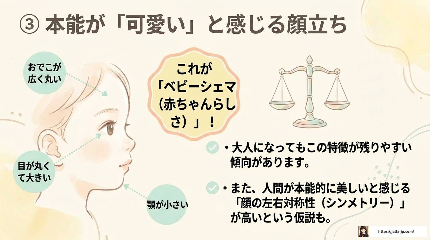 自閉症の人は顔が可愛いと言われる理由|なぜそう見えるのか解説